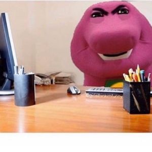 Meet your Posher, Ebony